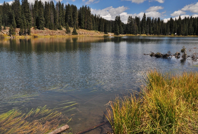 Atop the Grand Mesa